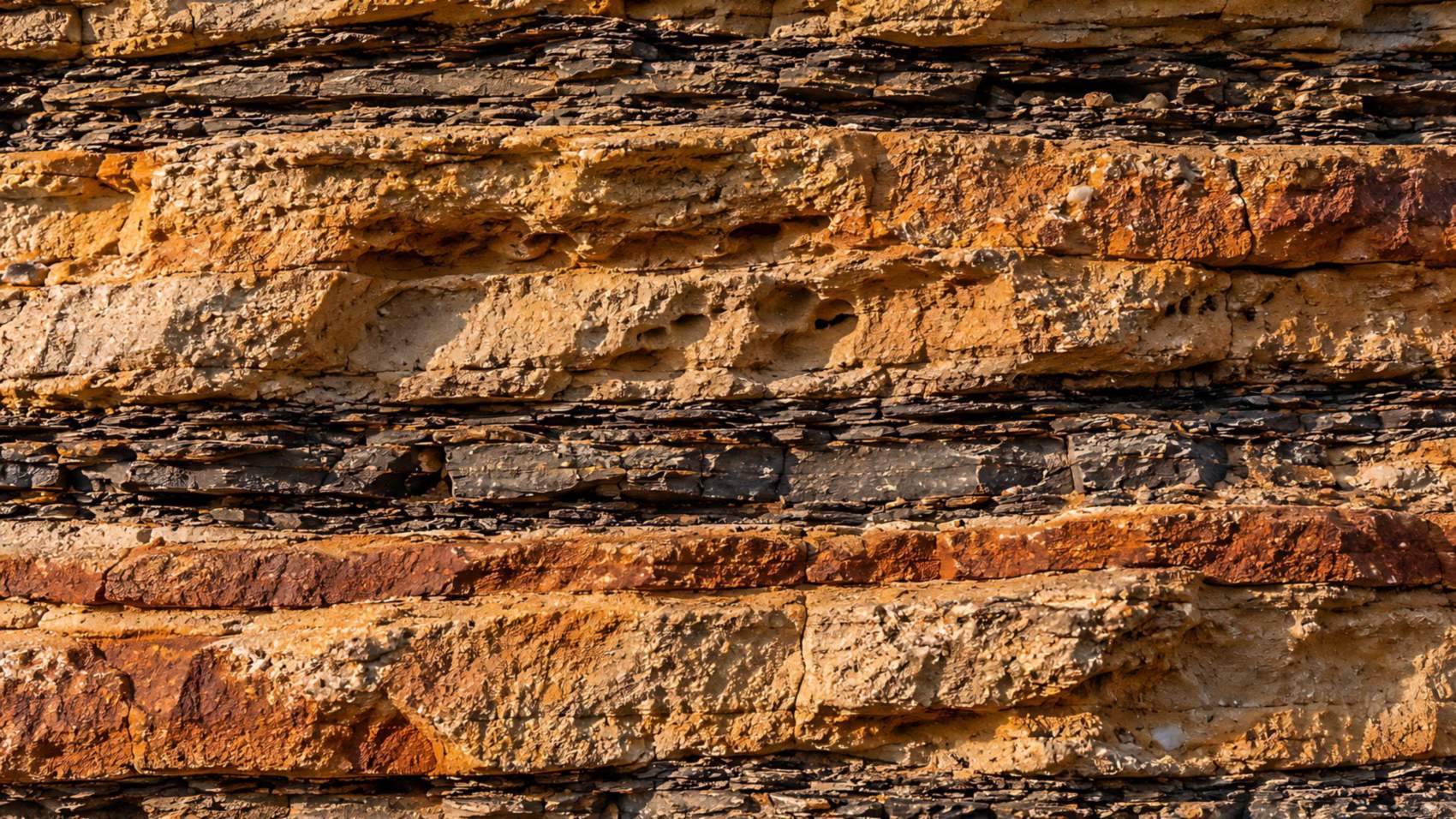 Close-up of a sedimentary rock face: sandstone beds separated by dark shale partings in low raking light.